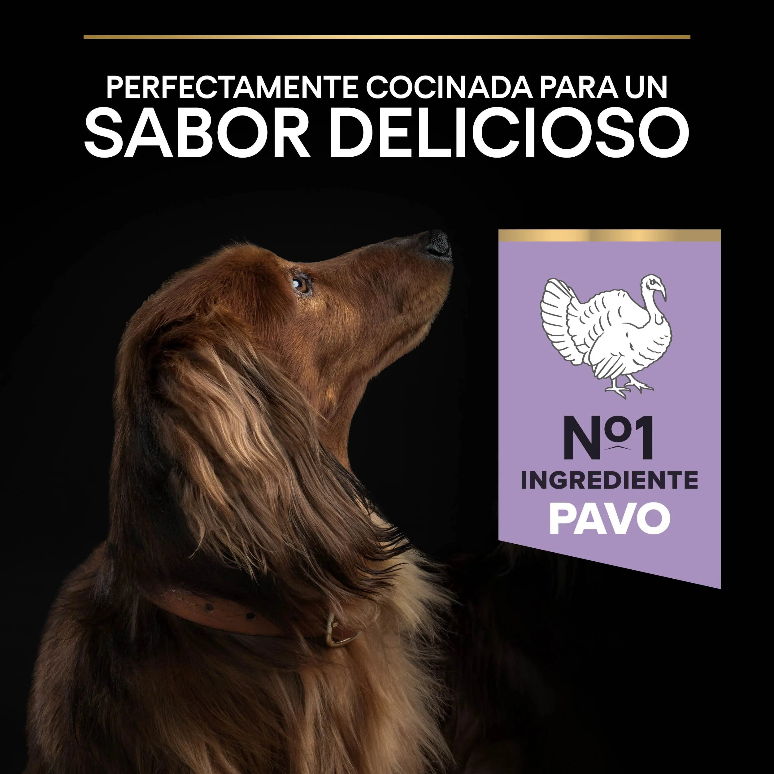 Pro Plan Small & Mini Adult Digest Grain Free Pavo Pienso para Perros - Image 9
