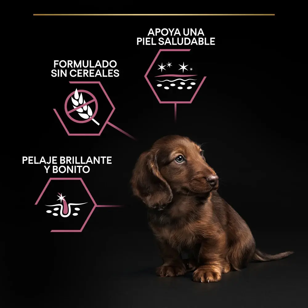 Pro Plan Small&Mini Puppy Sensitive Skin Salmón Pienso para Cachorros - Image 4