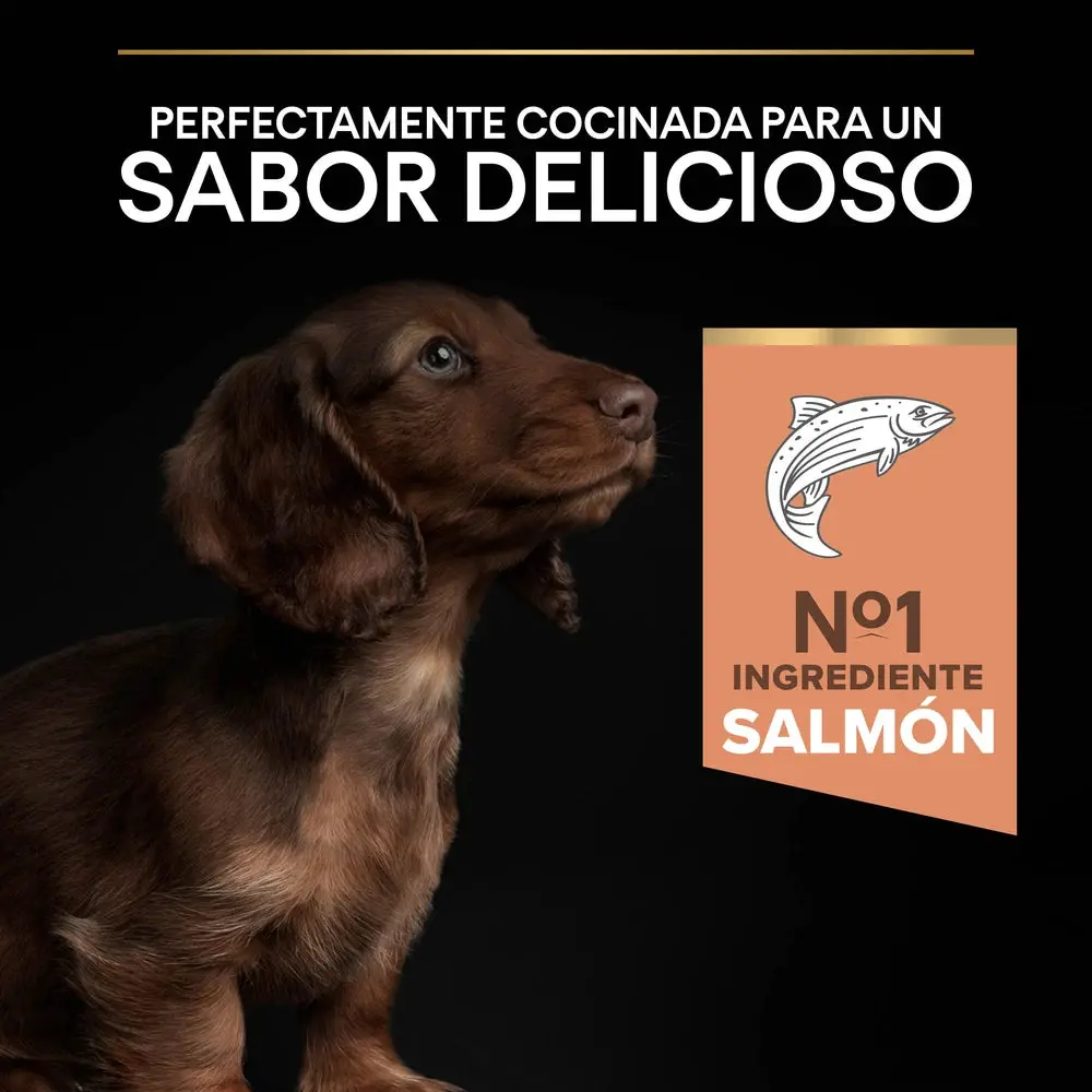 Pro Plan Small&Mini Puppy Sensitive Skin Salmón Pienso para Cachorros - Image 8