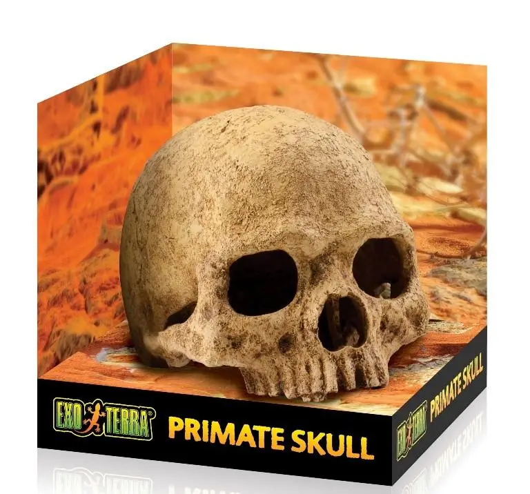 Refugio Primate Skull Exo Terra