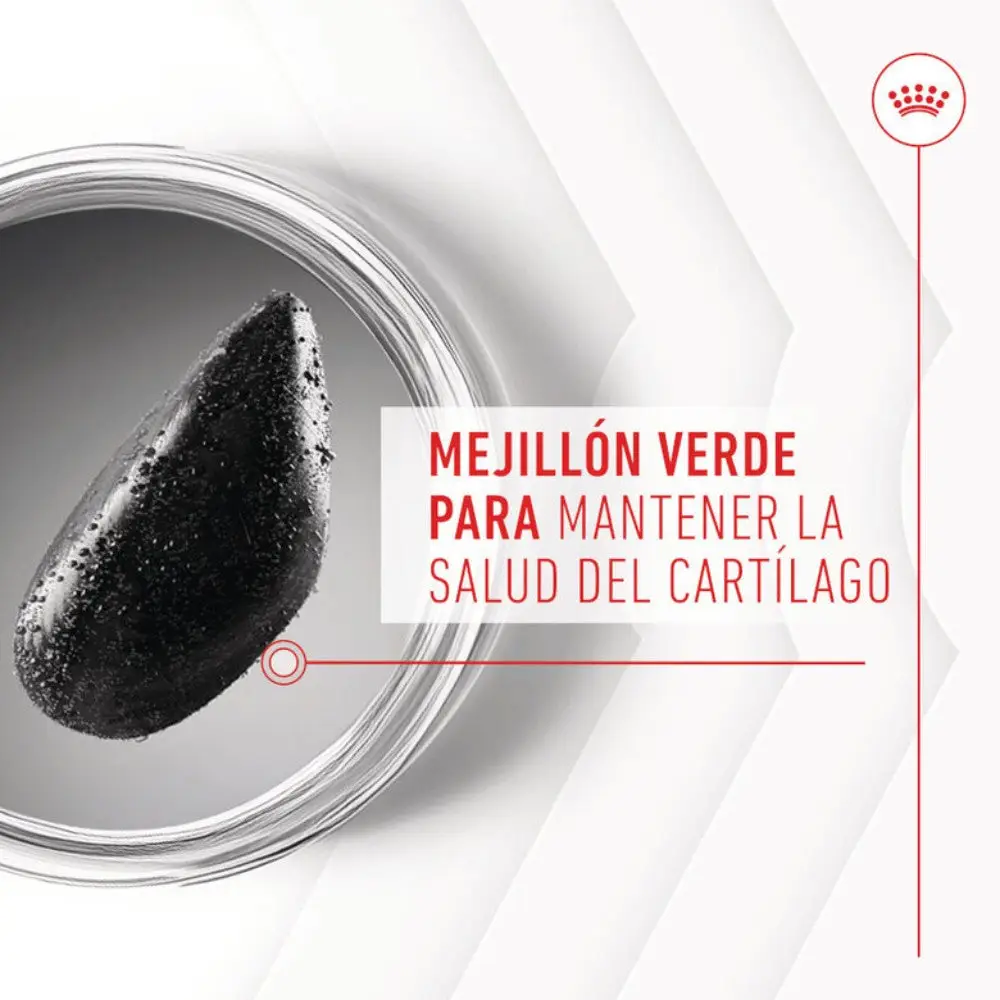 Royal Canin Adult Joint & Ageing 240 g Suplemento para Perros Adultos - Image 3