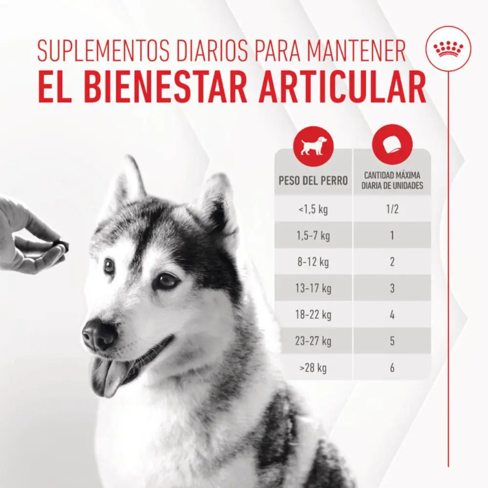 Royal Canin Adult Joint & Ageing 240 g Suplemento para Perros Adultos - Image 5