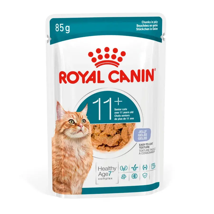 Royal Canin Ageing 11+ Comida Húmeda en Gelatina para Gatos 85 g