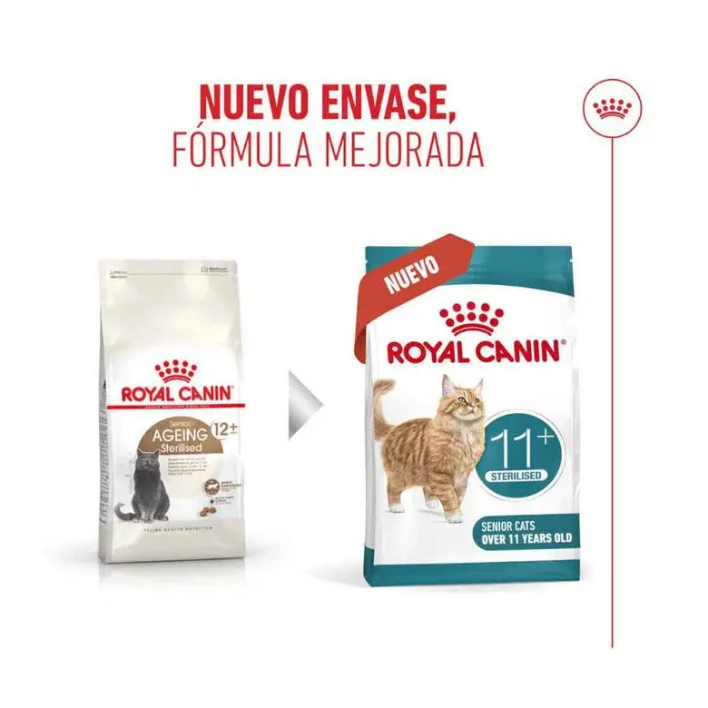 Royal Canin Ageing Sterilised 11+ Pienso para Gatos Senior Esterilizados - Image 2