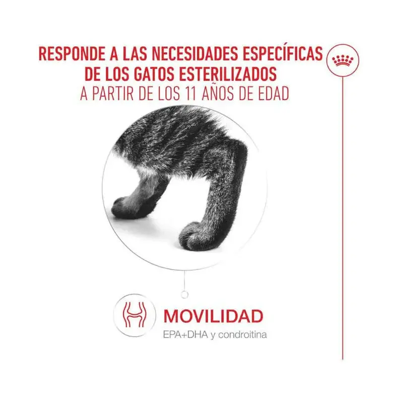 Royal Canin Ageing Sterilised 11+ Pienso para Gatos Senior Esterilizados - Image 3