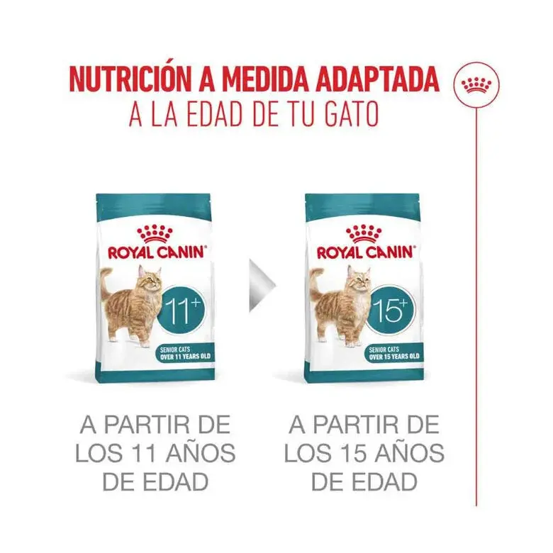 Royal Canin Ageing Sterilised 11+ Pienso para Gatos Senior Esterilizados - Image 4
