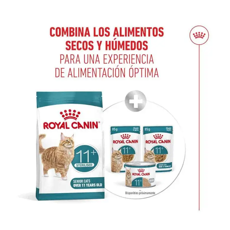 Royal Canin Ageing Sterilised 11+ Pienso para Gatos Senior Esterilizados - Image 5