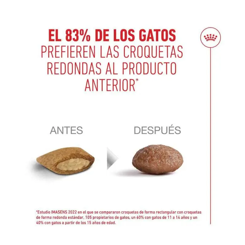 Royal Canin Ageing Sterilised 11+ Pienso para Gatos Senior Esterilizados - Image 6