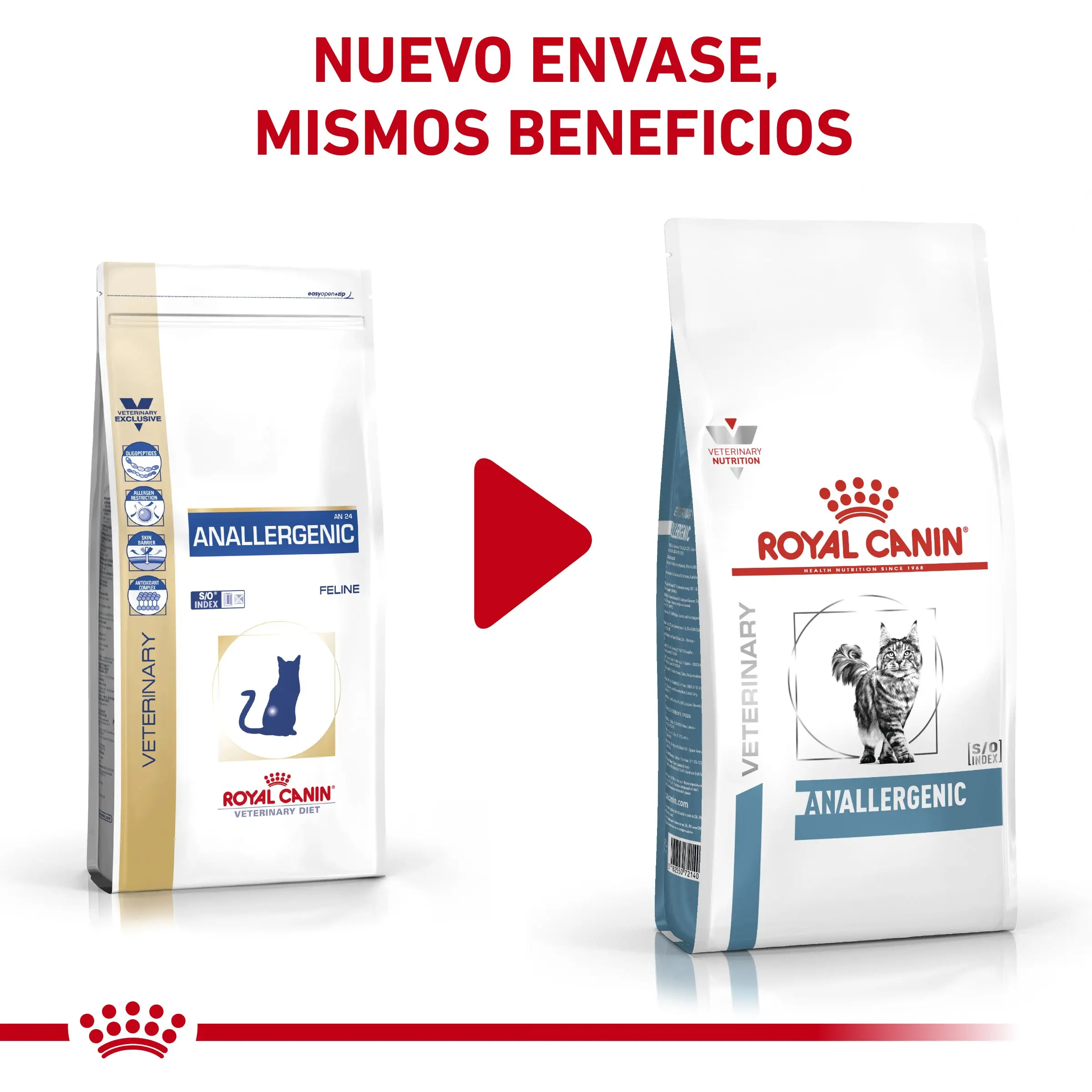 Royal Canin Veterinary Anallergenic | Pienso Veterinario para Gatos con Intolerancias y Alergias Alimentarias - Image 2