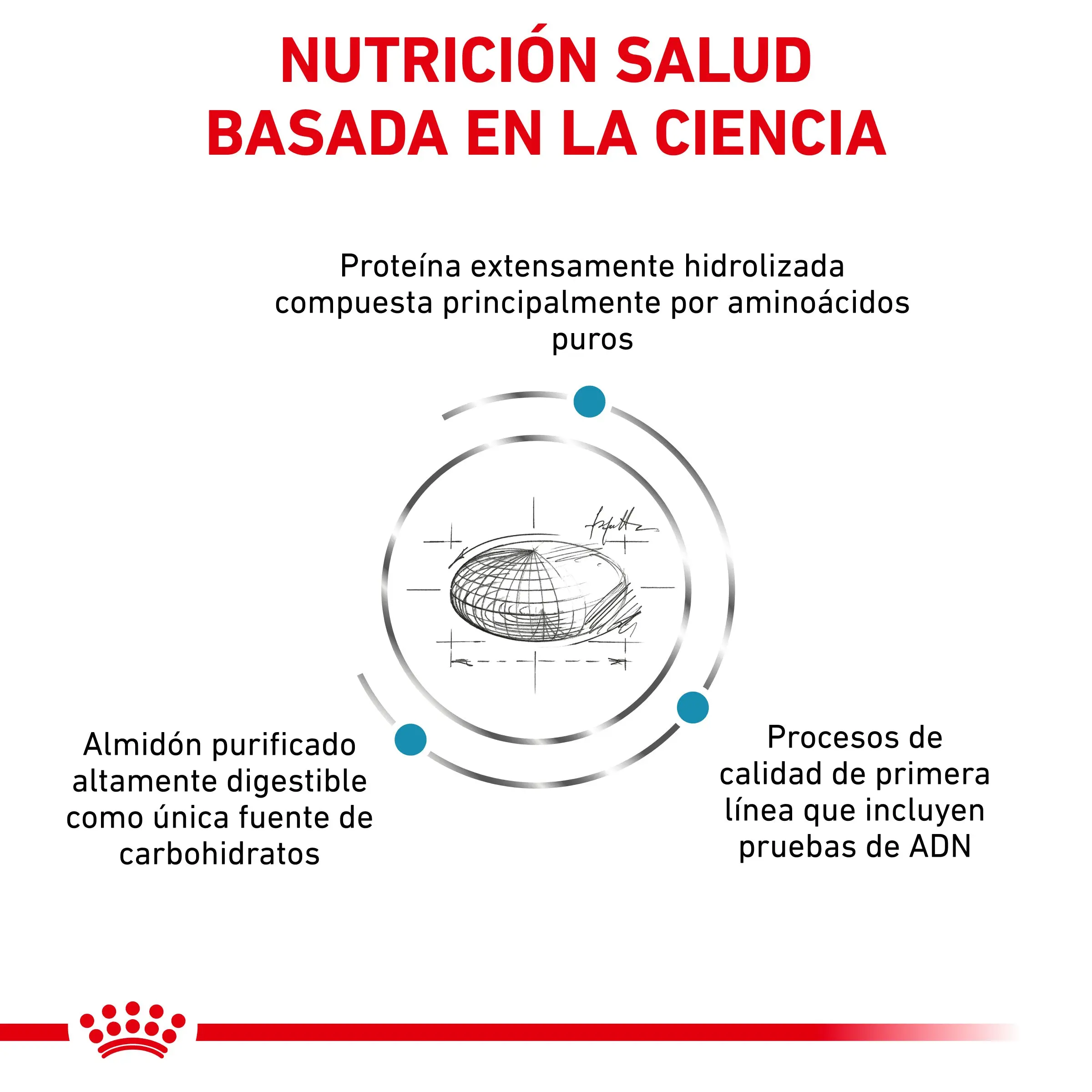 Royal Canin Veterinary Anallergenic | Pienso Veterinario para Gatos con Intolerancias y Alergias Alimentarias - Image 3