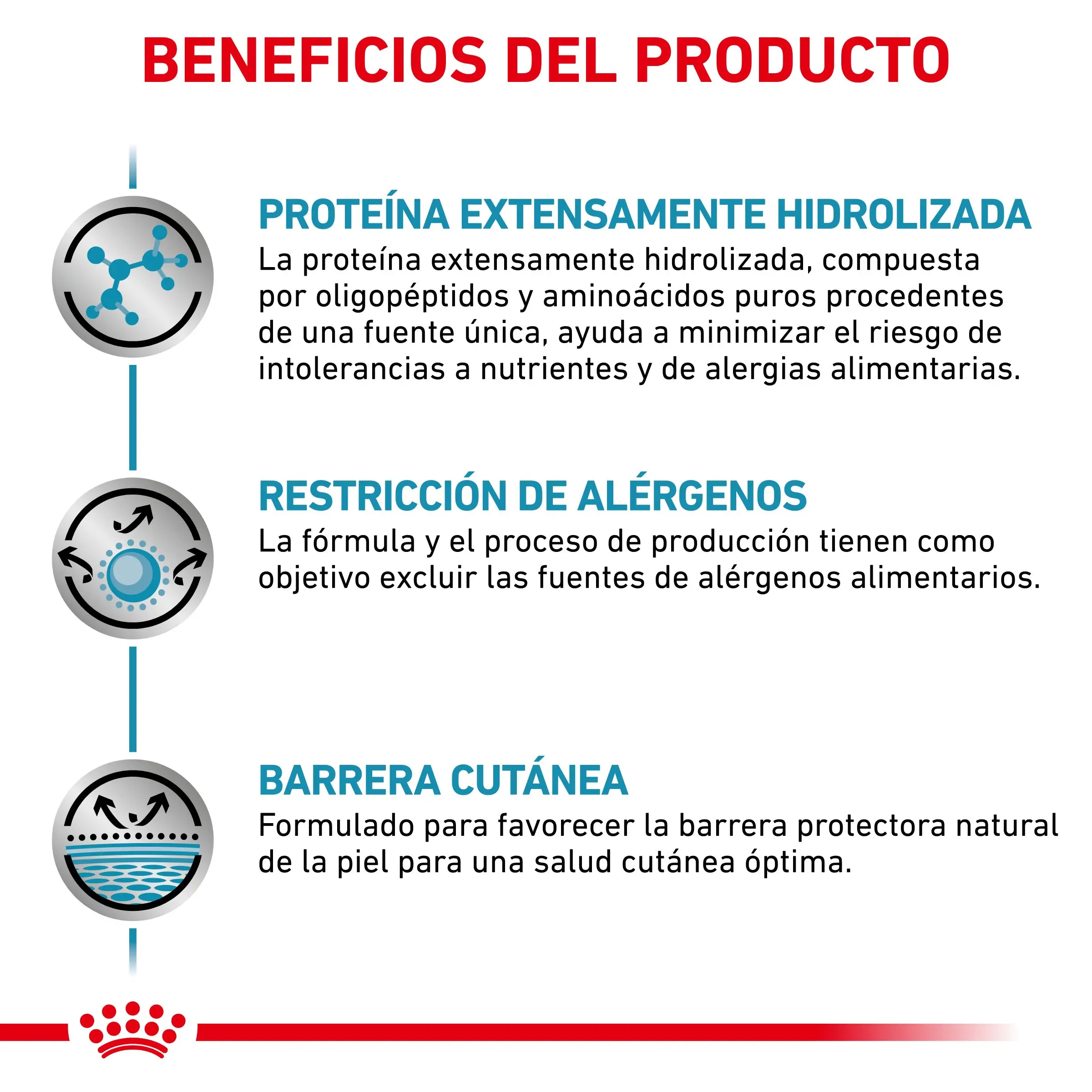 Royal Canin Veterinary Anallergenic | Pienso Veterinario para Gatos con Intolerancias y Alergias Alimentarias - Image 4