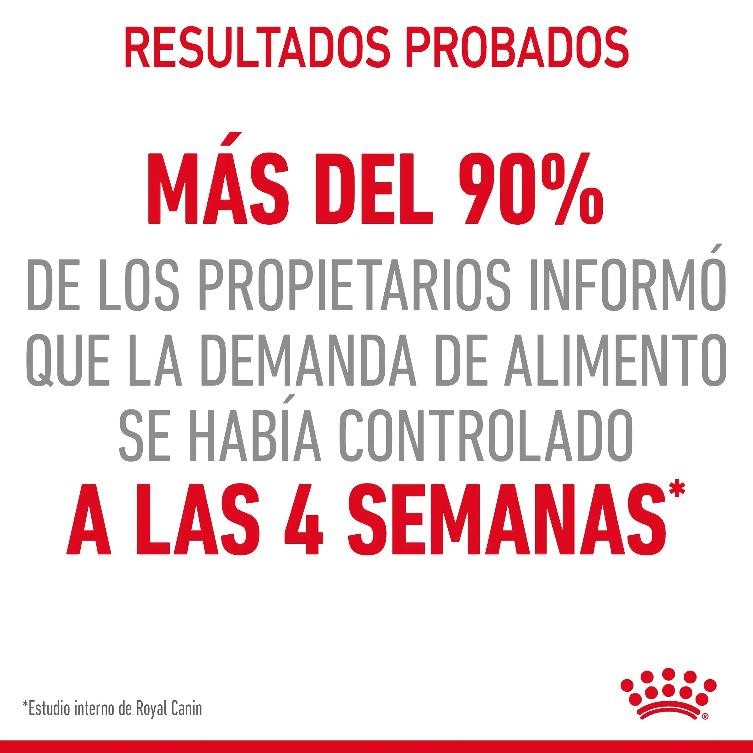 Royal Canin Appetite Control Pienso para Gatos - Image 10