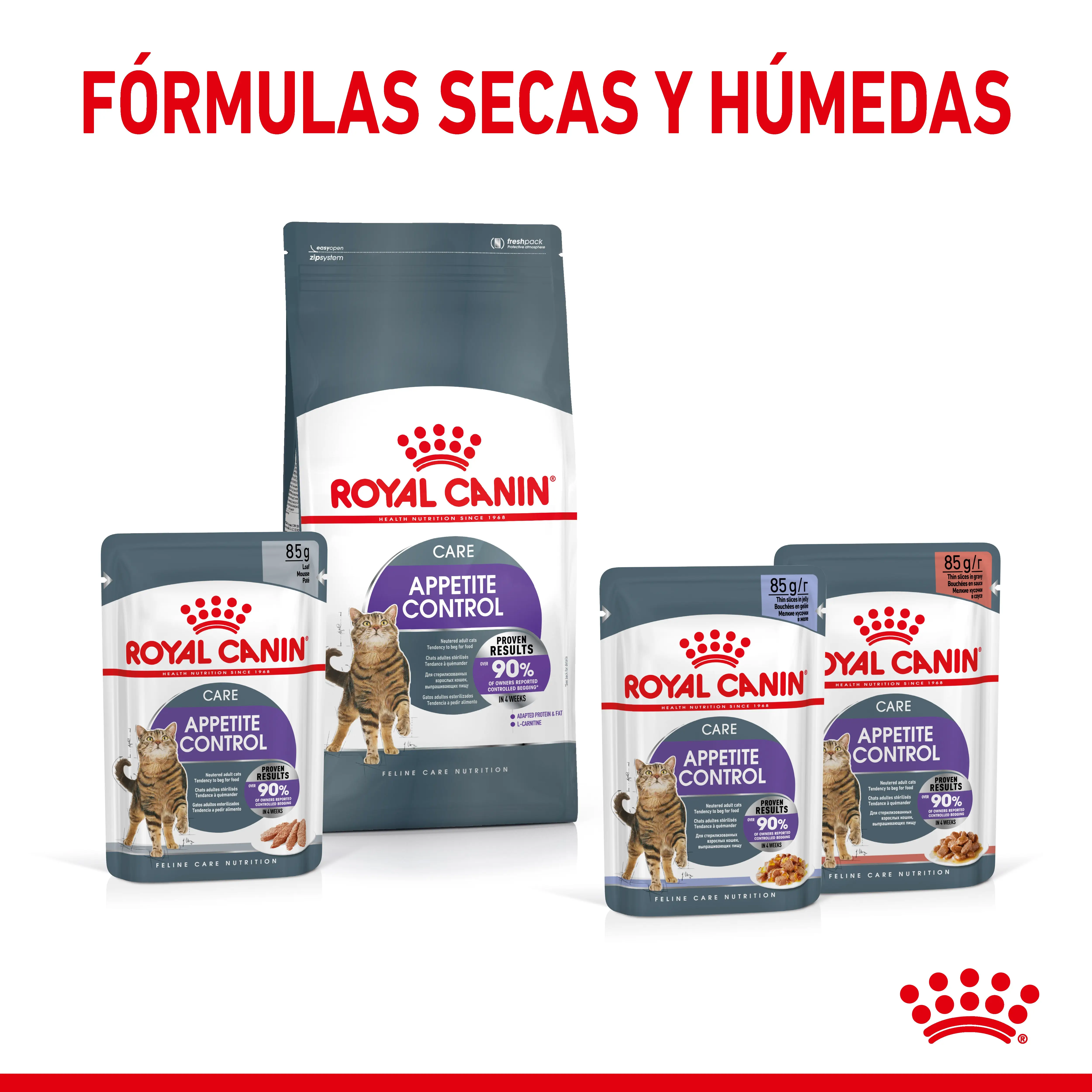 Royal Canin Appetite Control Pienso para Gatos - Image 12