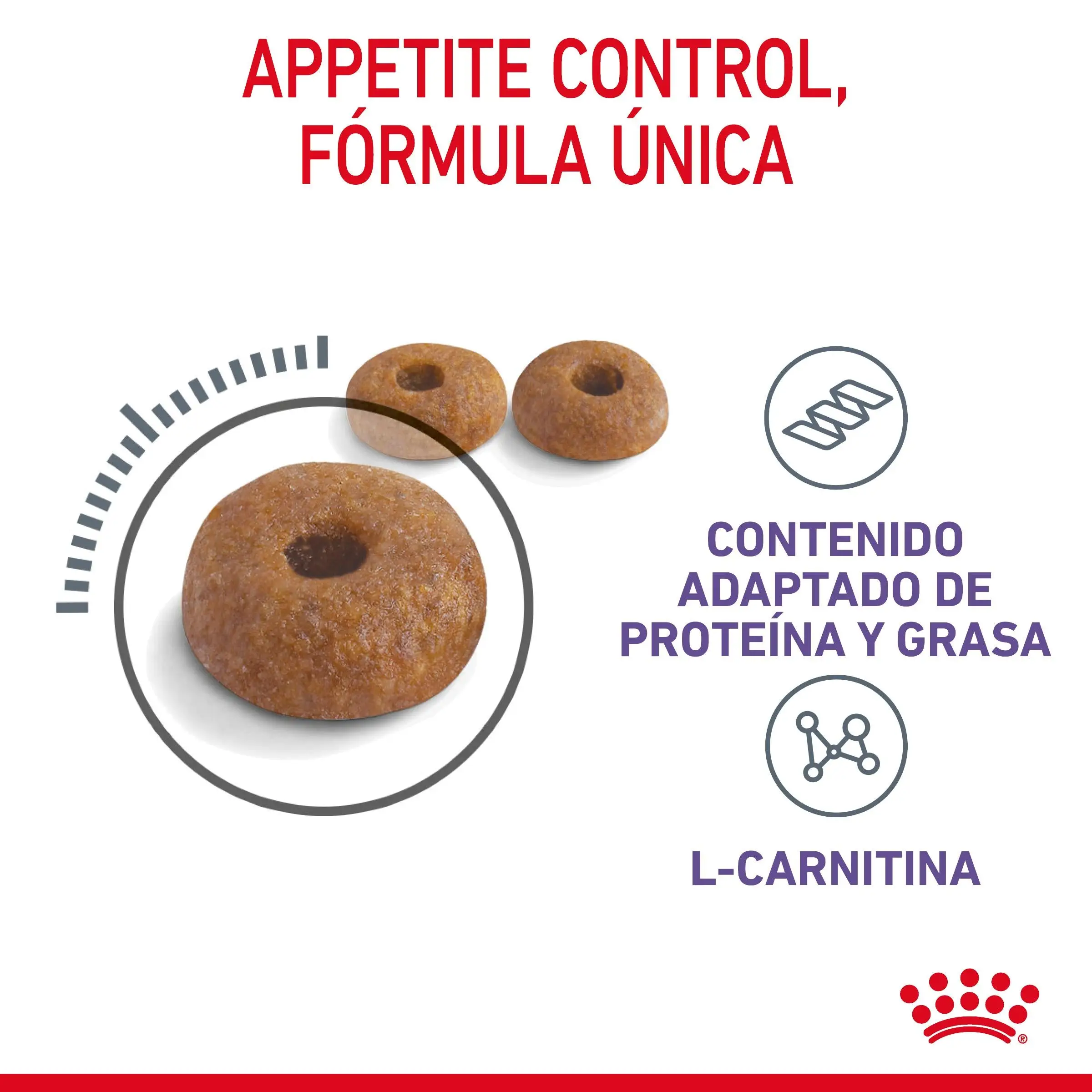 Royal Canin Appetite Control Pienso para Gatos - Image 9