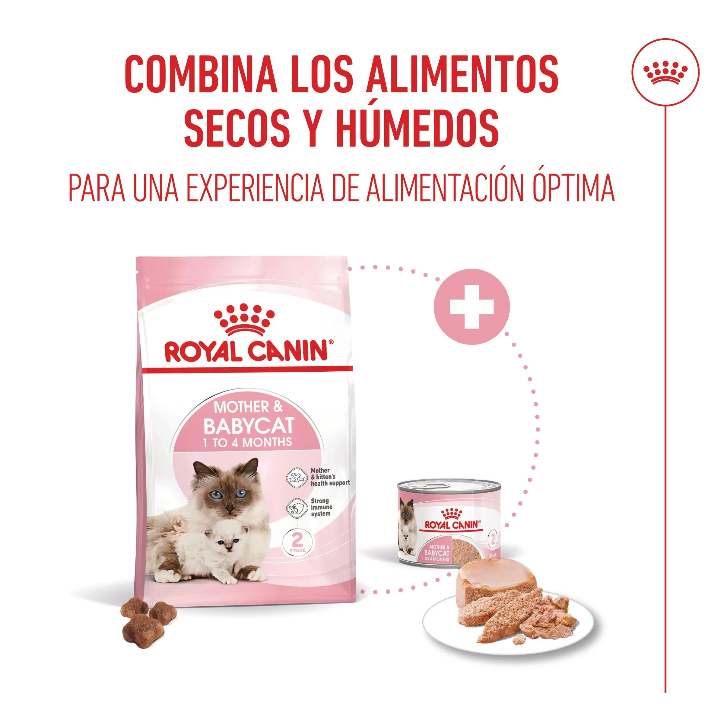Royal Canin Mother & Babycat 195 g Mousse para Gatitos y Gatas Embarazadas o en Lactancia - Image 8