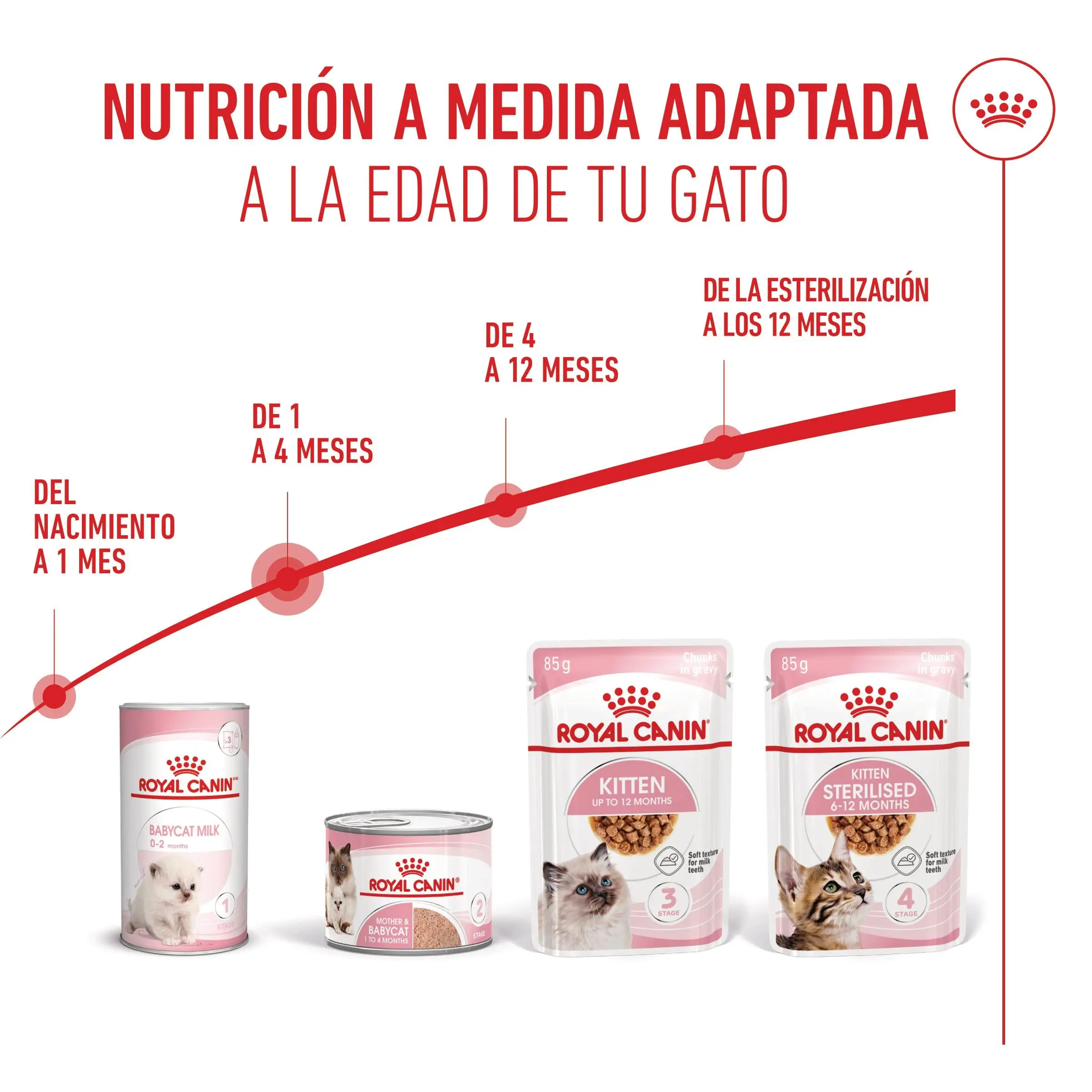 Royal Canin Mother & Babycat 195 g Mousse para Gatitos y Gatas Embarazadas o en Lactancia - Image 9