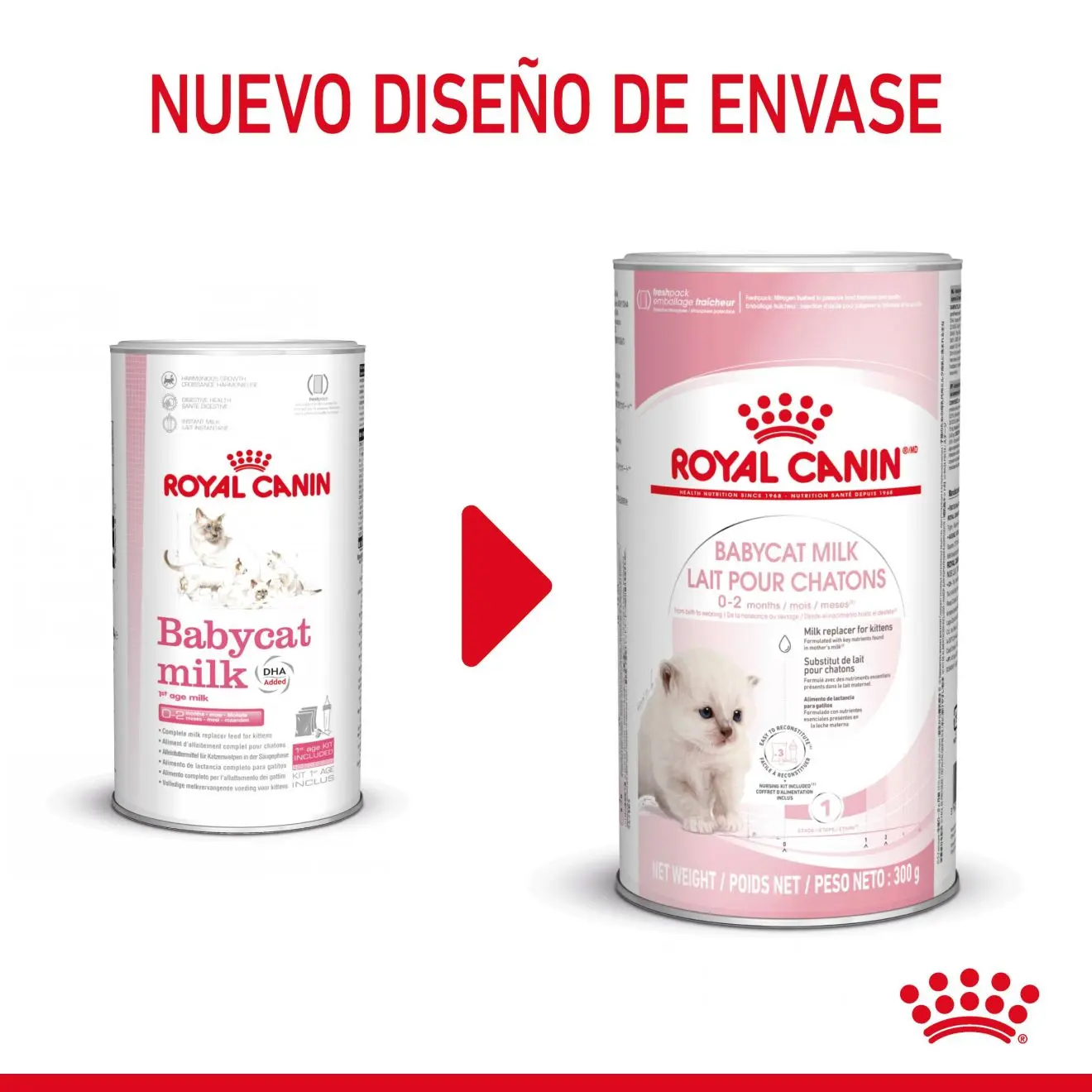 Royal Canin Babycat Milk 300 g Kit Leche en Polvo para Gatitos - Image 2