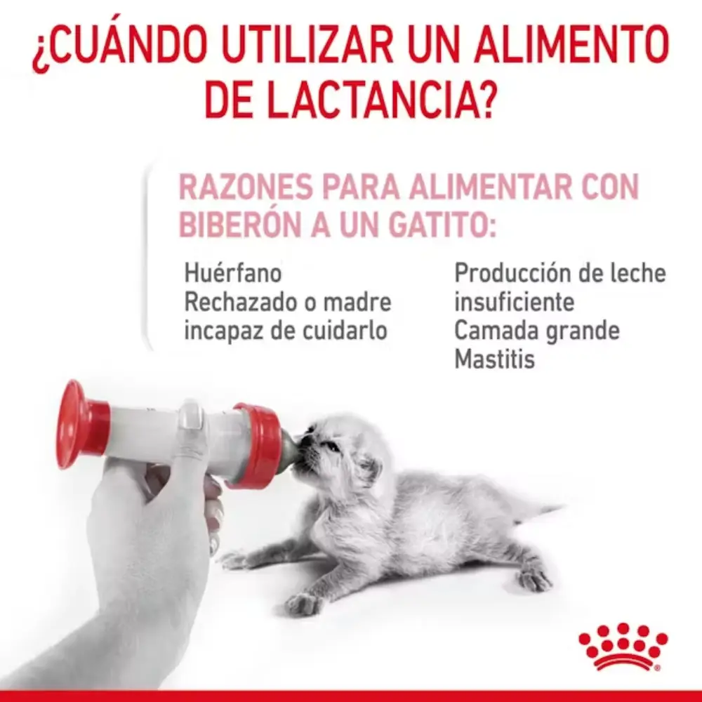 Royal Canin Babycat Milk 300 g Kit Leche en Polvo para Gatitos - Image 4