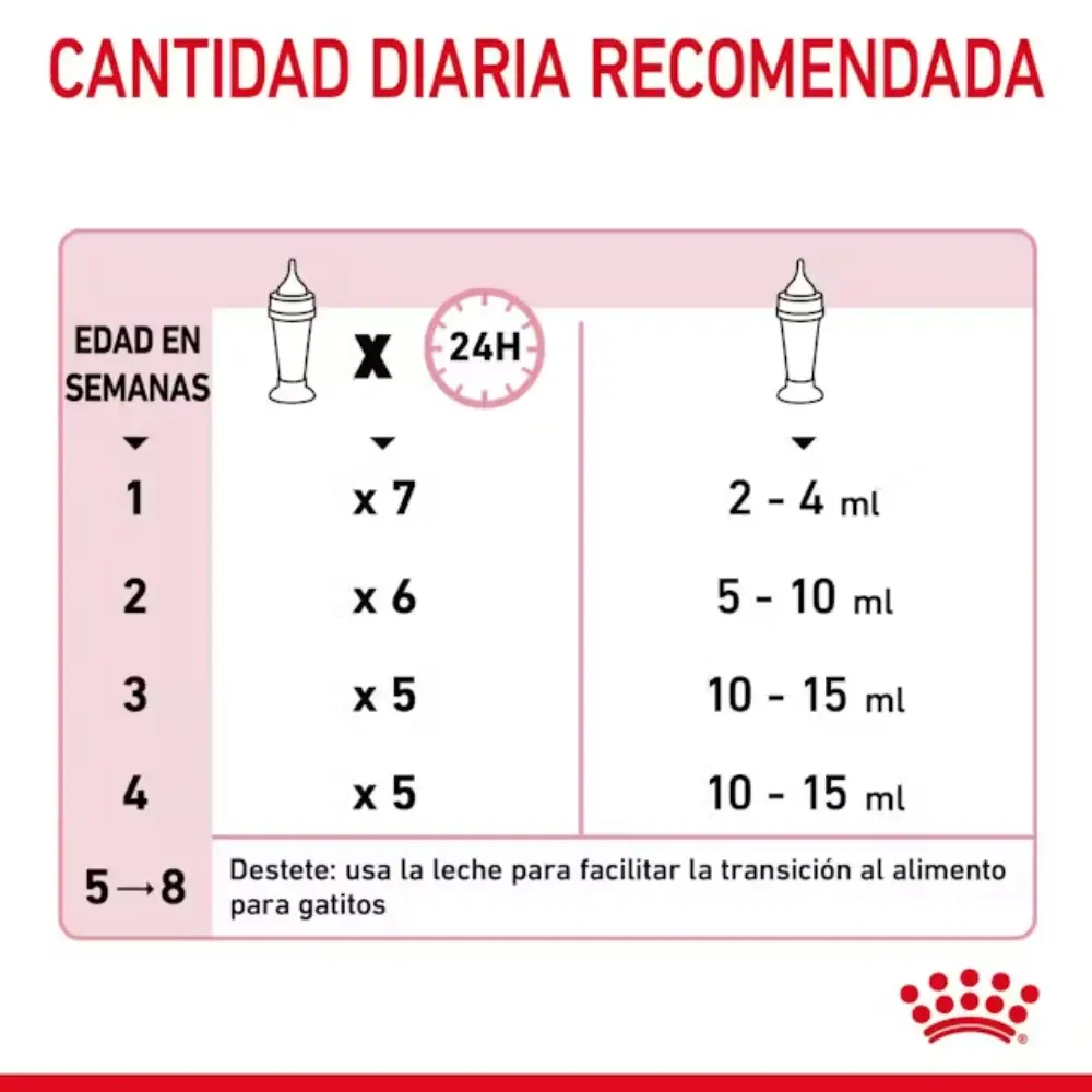 Royal Canin Babycat Milk 300 g Kit Leche en Polvo para Gatitos - Image 5