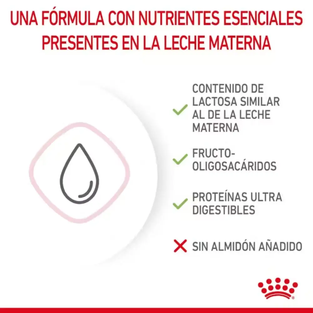 Royal Canin Babycat Milk 300 g Kit Leche en Polvo para Gatitos - Image 6