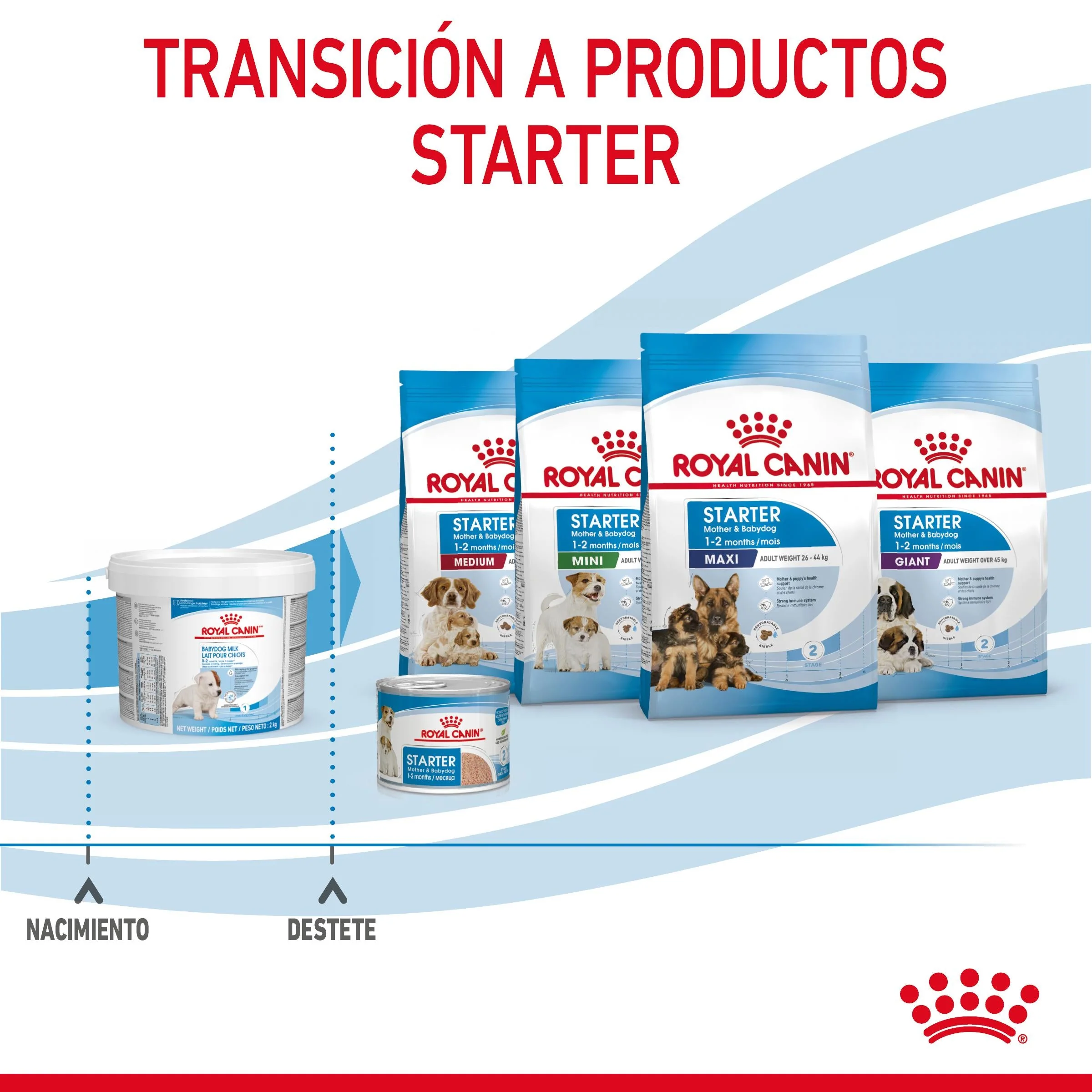 Royal Canin Babydog Milk Leche en Polvo para Cachorros - Image 5