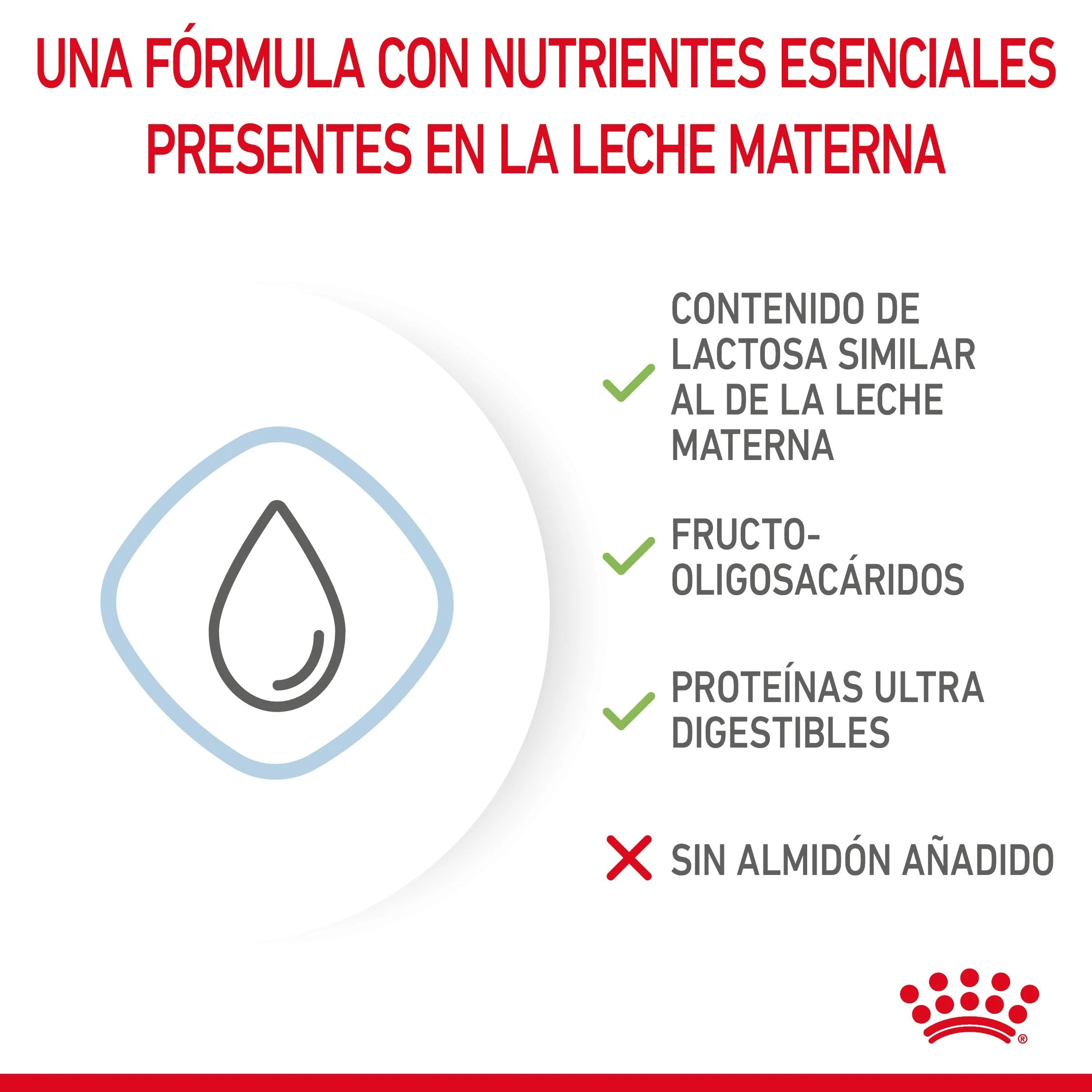 Royal Canin Babydog Milk Leche en Polvo para Cachorros - Image 8