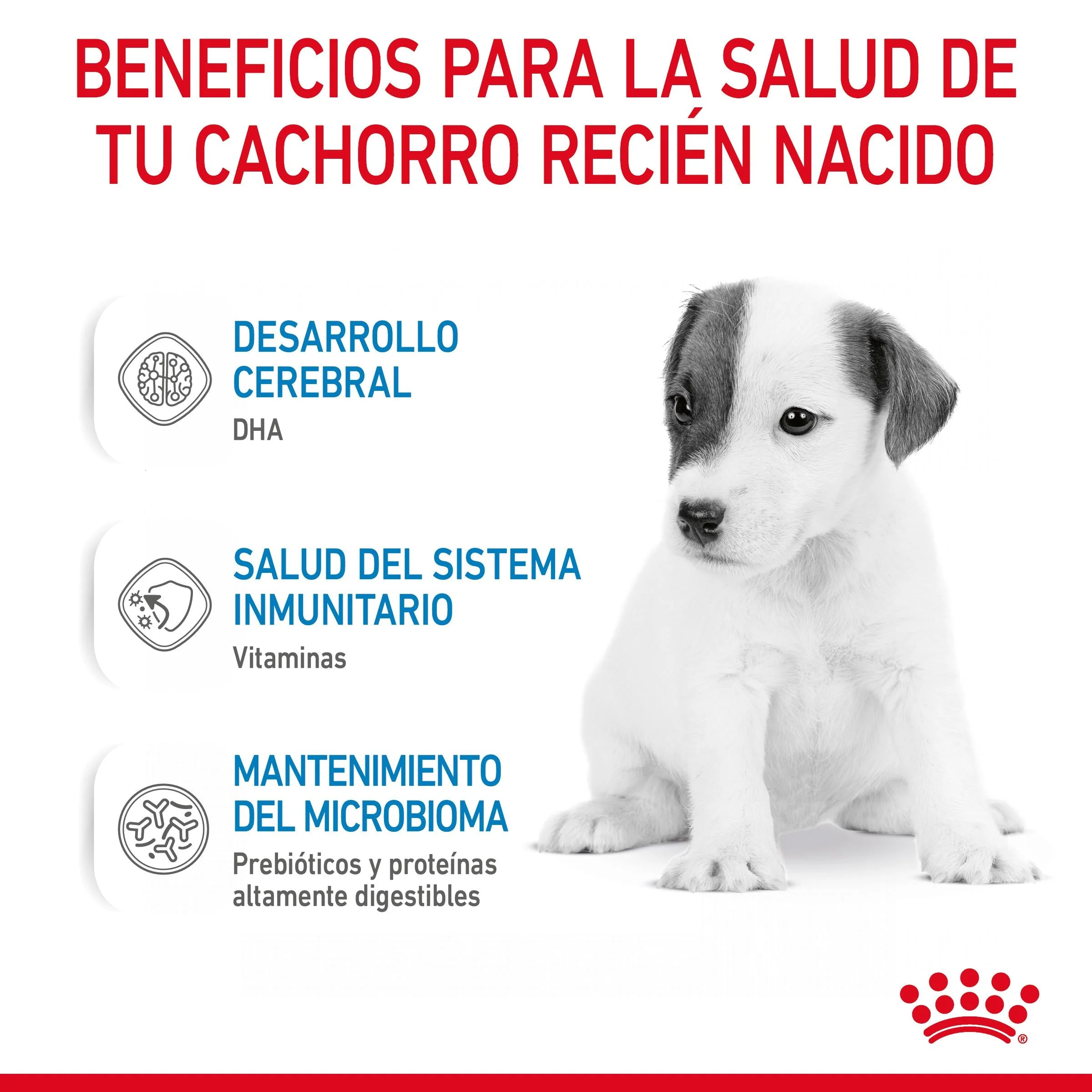 Royal Canin Babydog Milk Leche en Polvo para Cachorros - Image 9