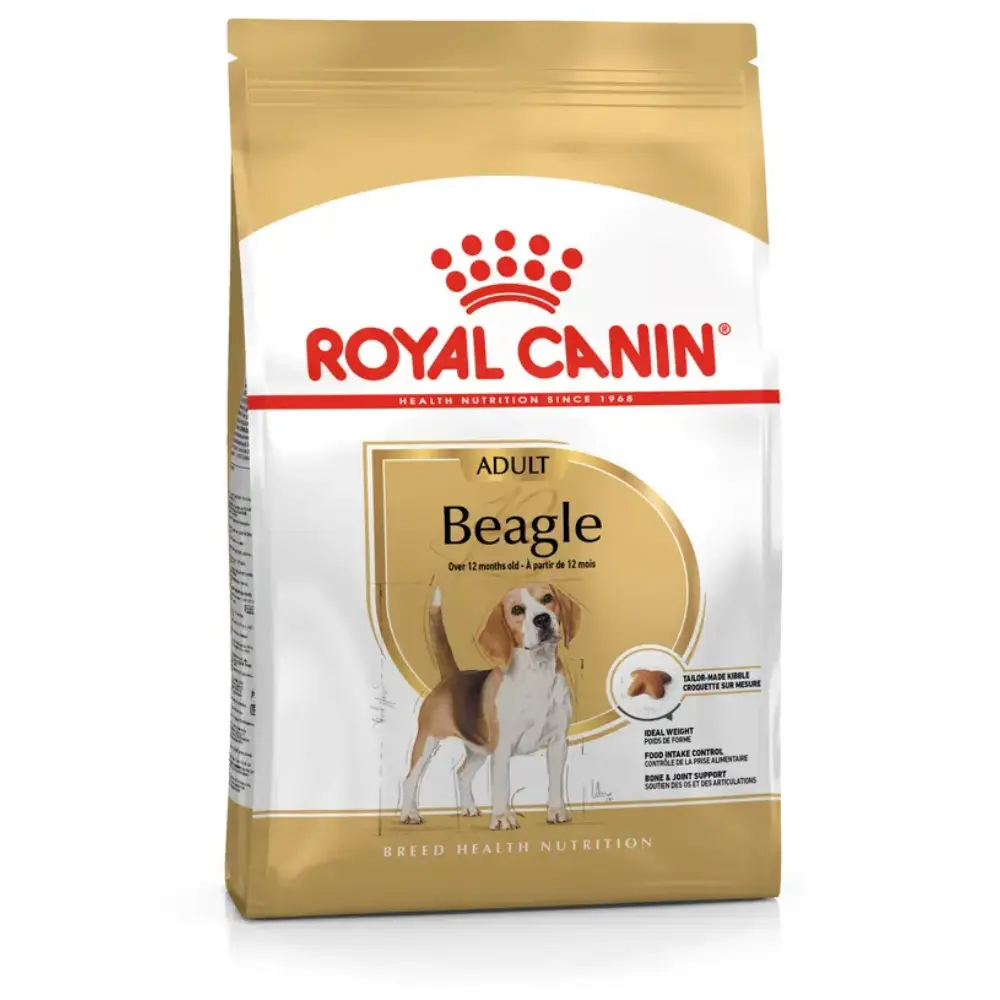 Royal Canin Beagle, Adulto