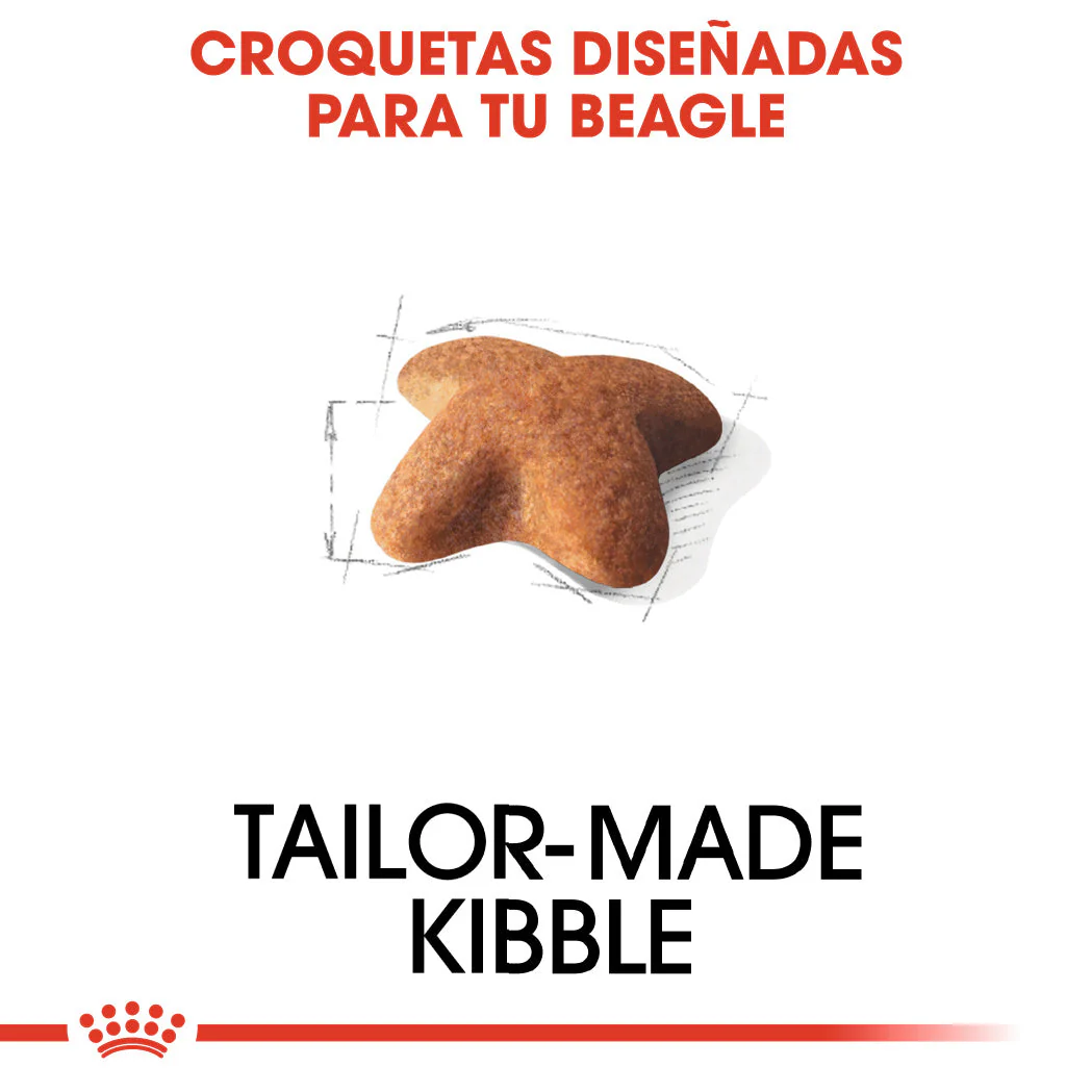 Royal Canin Beagle, Adulto - Image 2