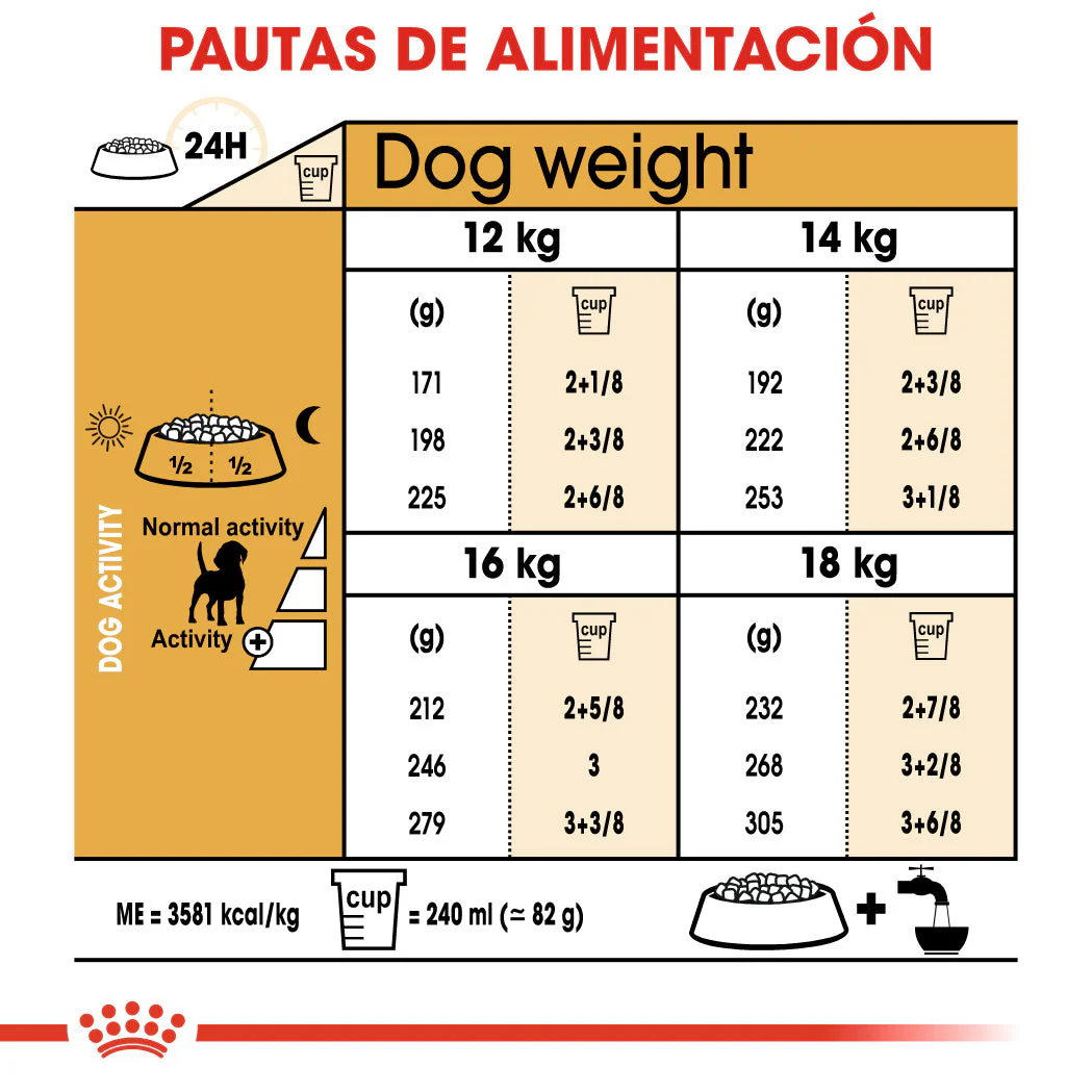 Royal Canin Beagle, Adulto - Image 3