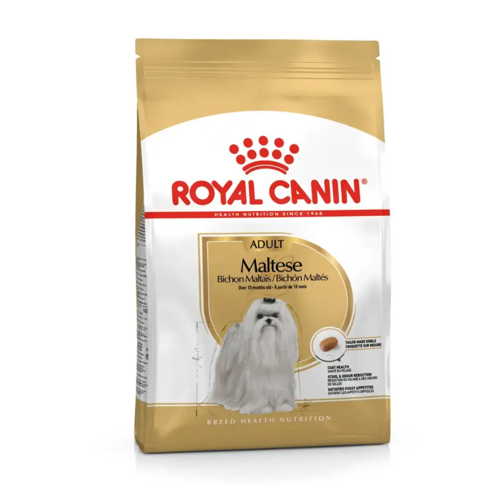 Royal Canin Bichón Maltés Pienso para Perros Adultos de Raza