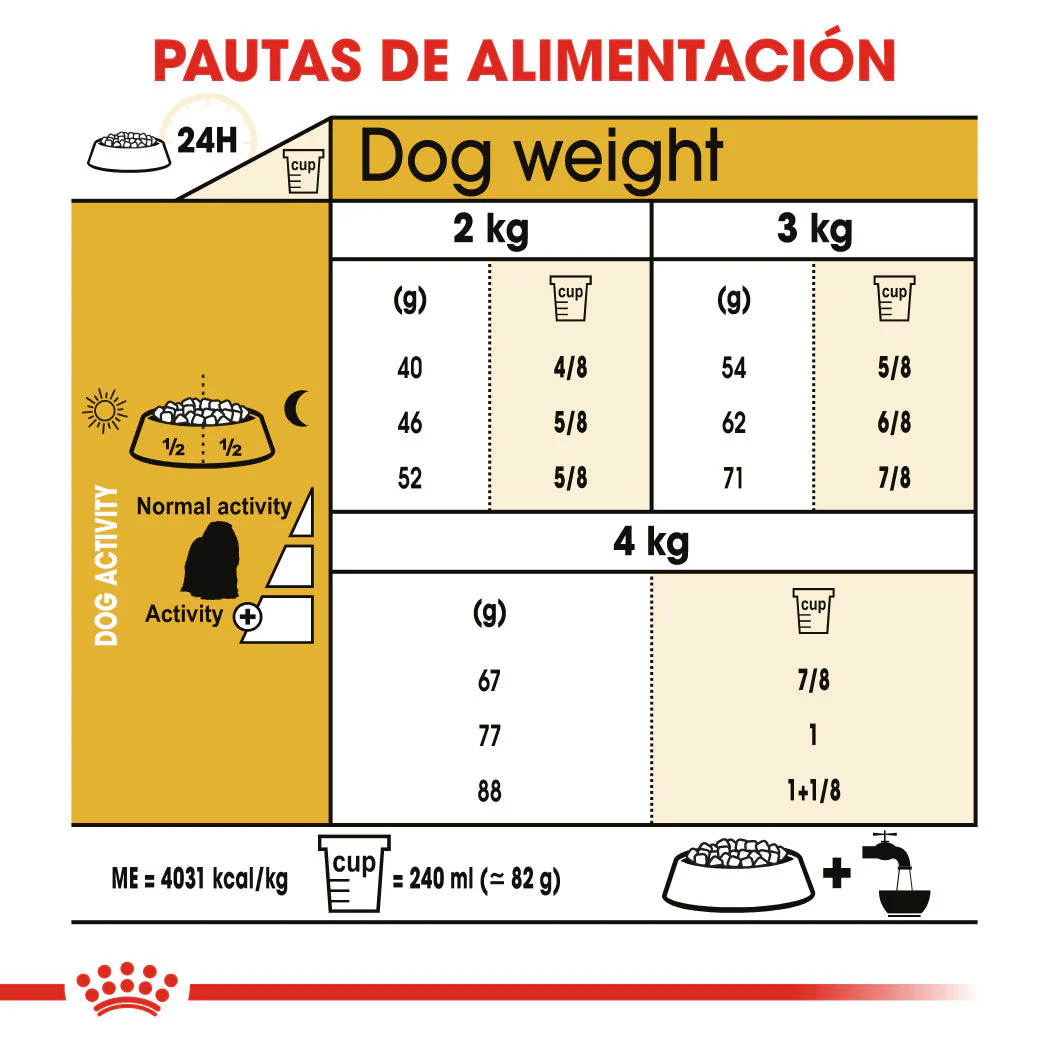 Royal Canin Bichón Maltés Pienso para Perros Adultos de Raza - Image 3