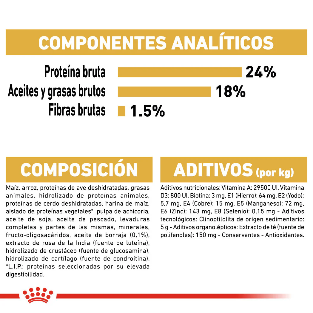 Royal Canin Bichón Maltés Pienso para Perros Adultos de Raza - Image 5