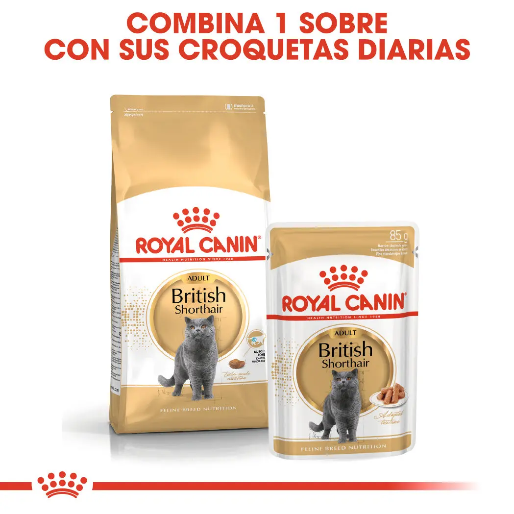 Royal Canin British Shorthair 2 kg Pienso para Gatos - Image 2