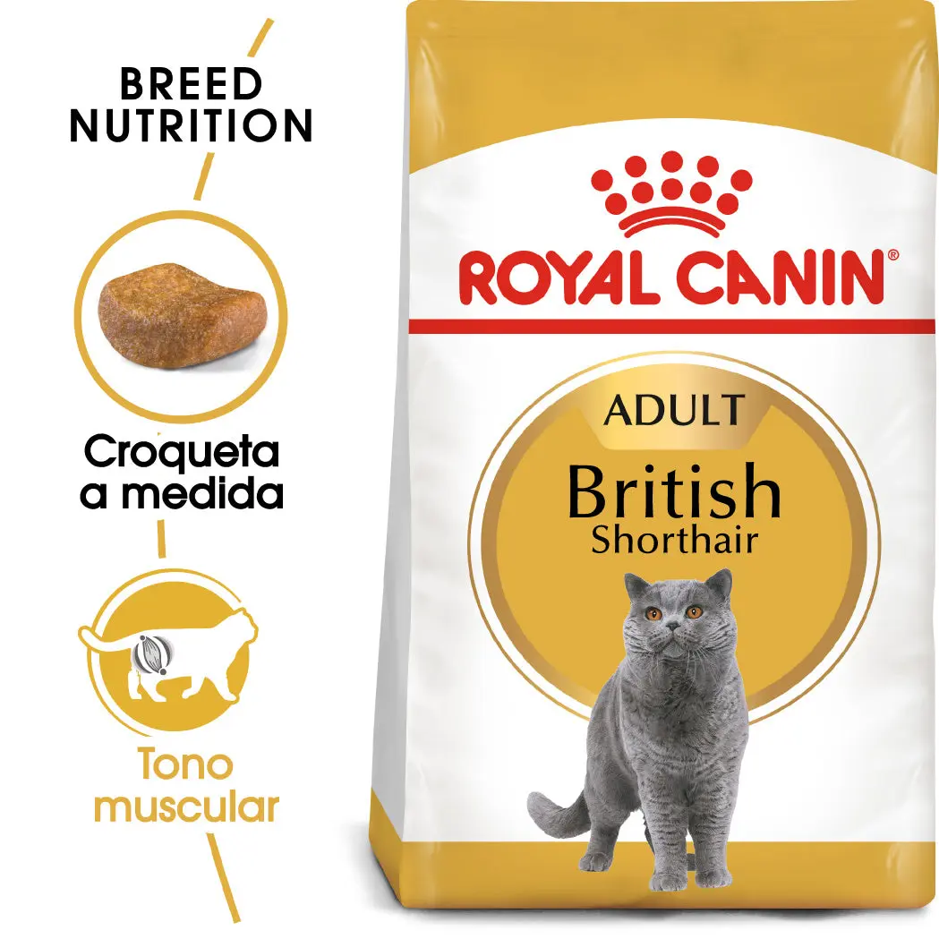 Royal Canin British Shorthair 2 kg Pienso para Gatos - Image 3
