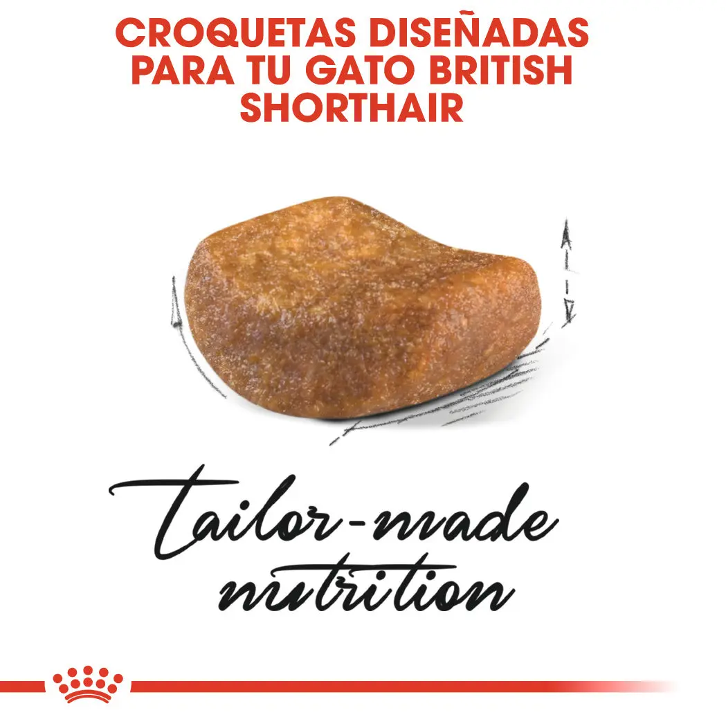 Royal Canin British Shorthair 2 kg Pienso para Gatos - Image 4