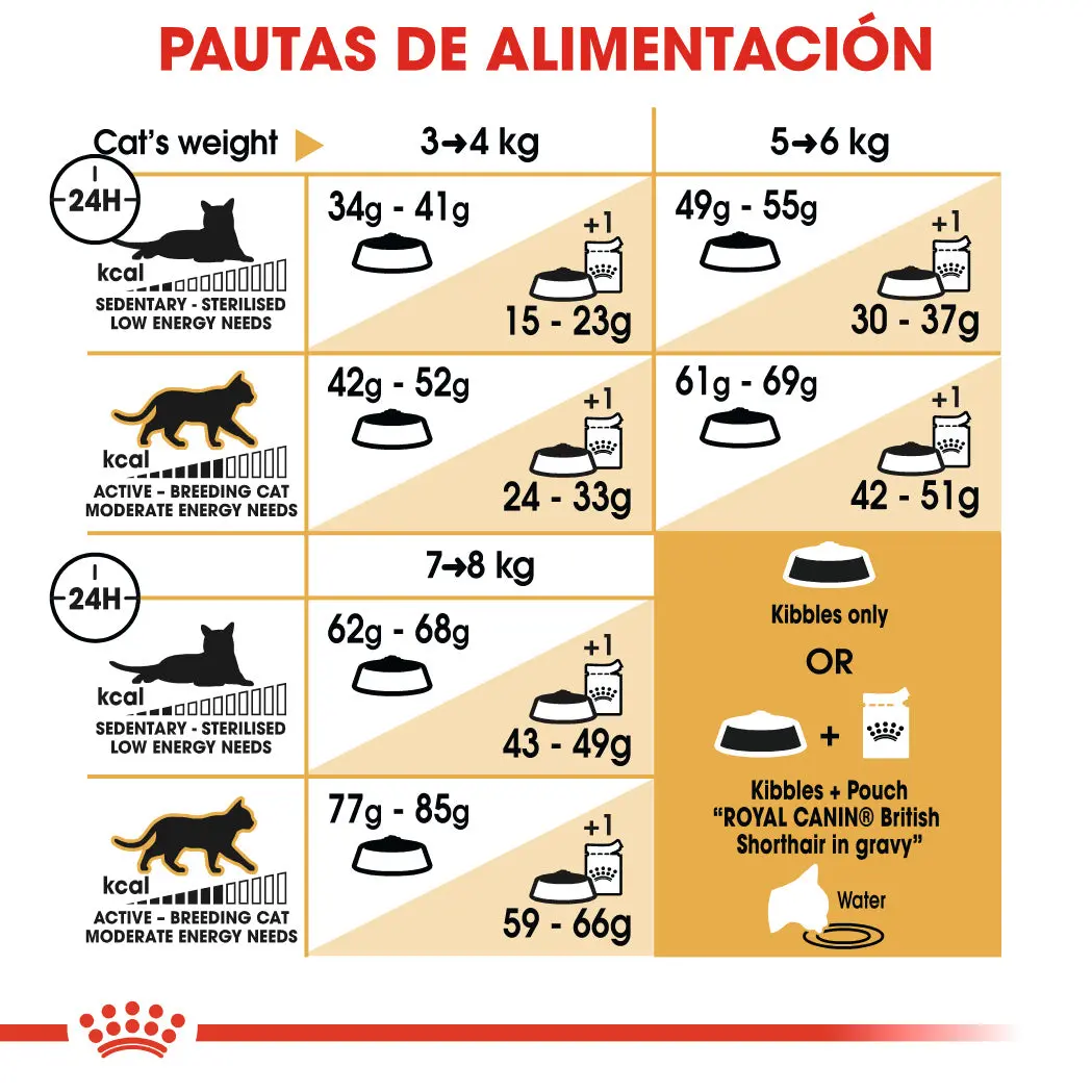 Royal Canin British Shorthair 2 kg Pienso para Gatos - Image 5