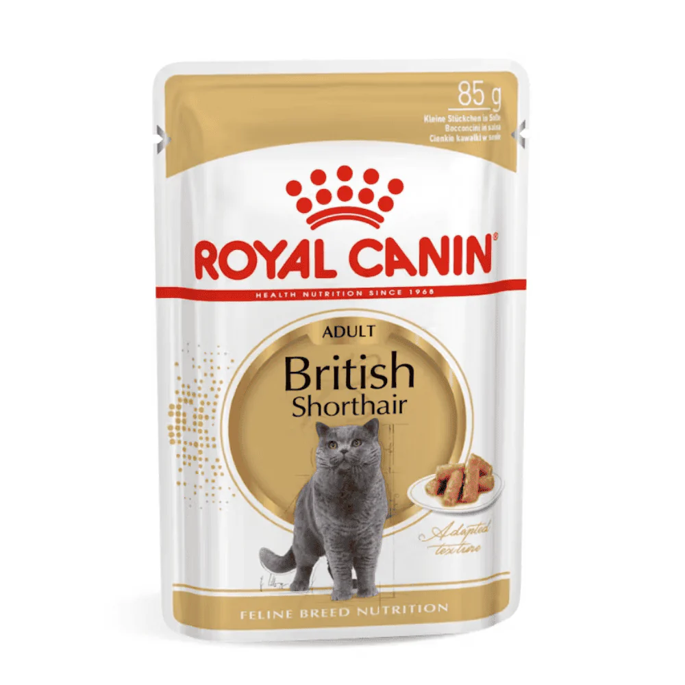 Royal Canin British Shorthair Sobre Paté Húmedo para Gatos