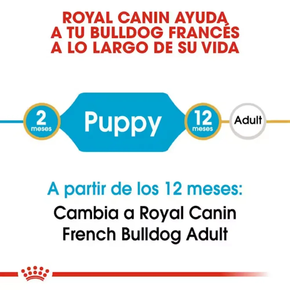 Royal Canin Bulldog Frances Puppy - Image 2