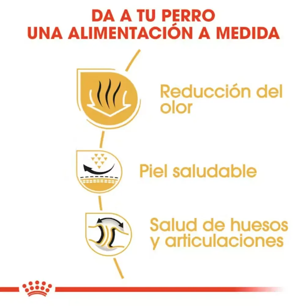 Royal Canin Bulldog Inglés Pienso para Perros de Raza Bulldog Adultos - Image 2