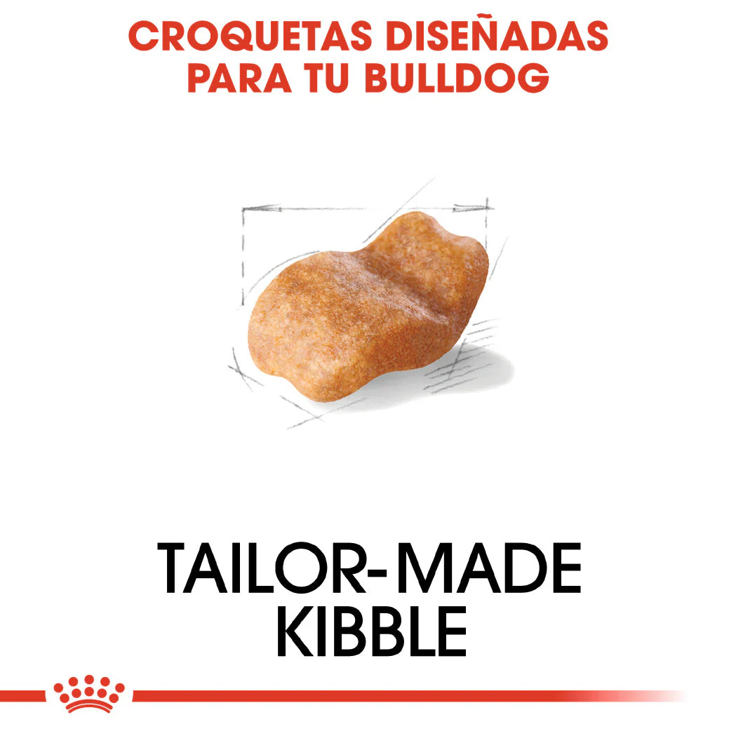 Royal Canin Bulldog Inglés Pienso para Perros de Raza Bulldog Adultos - Image 4