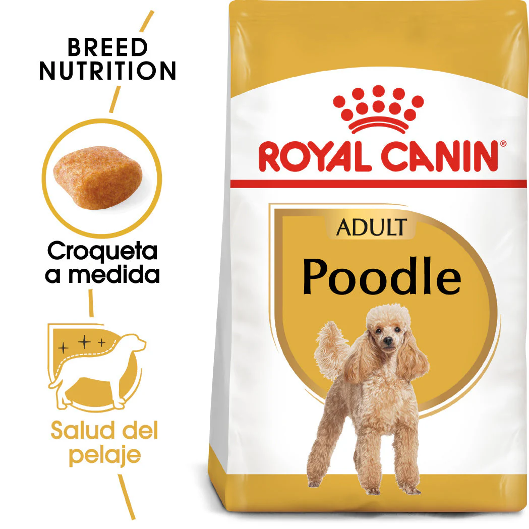 Royal Canin Caniche Poodle Pienso para Perros de Raza - Image 2