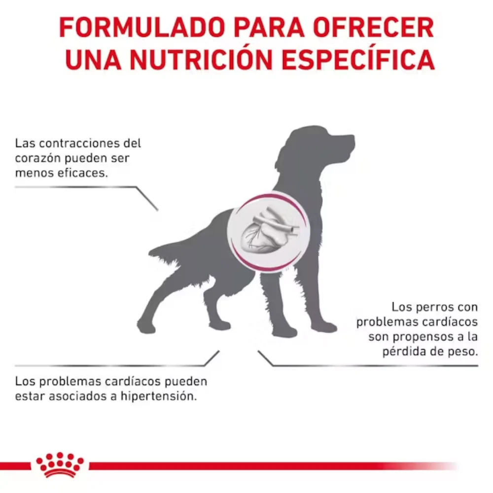 Royal Canin Veterinary Cardiac Ec26 2 kg Perro - Image 2
