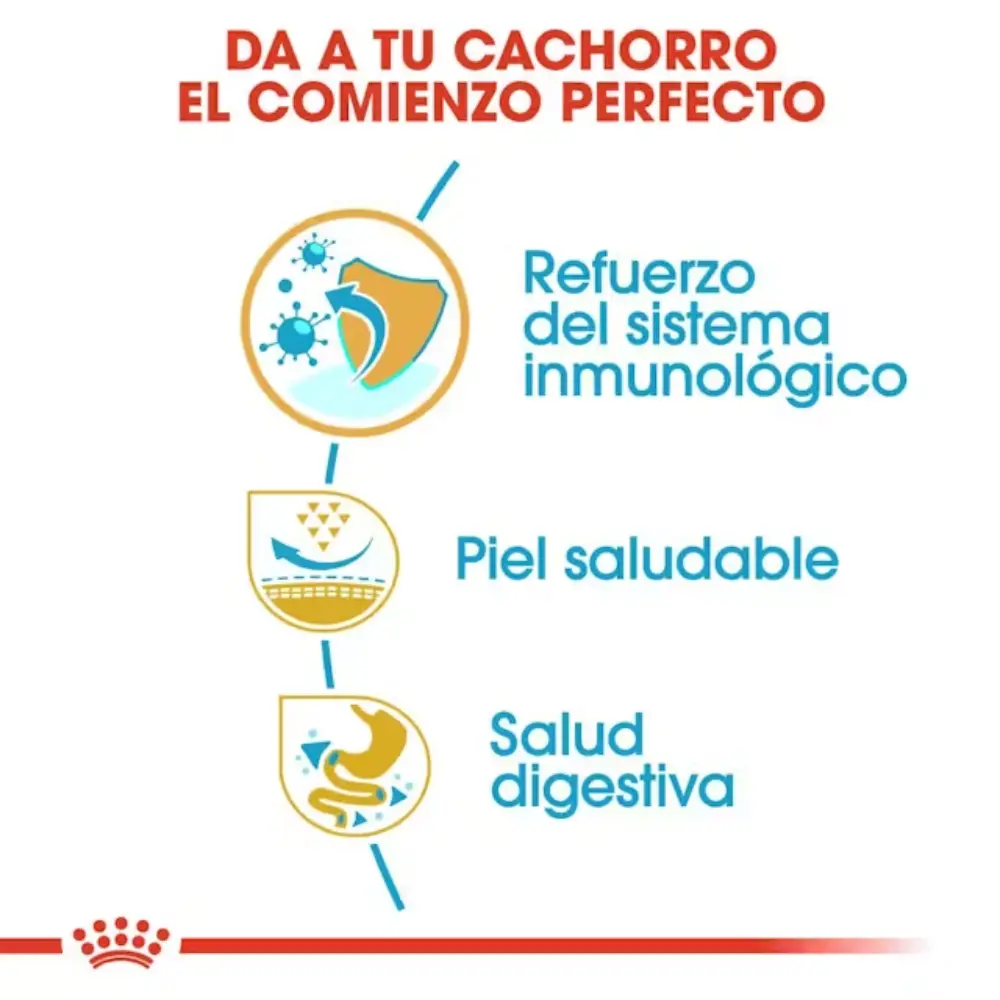 Royal Canin Carlino Pug Puppy 1,5 kg - Image 3