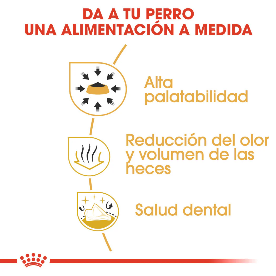 Royal Canin Chihuahua Pienso para Perros Adultos - Image 2