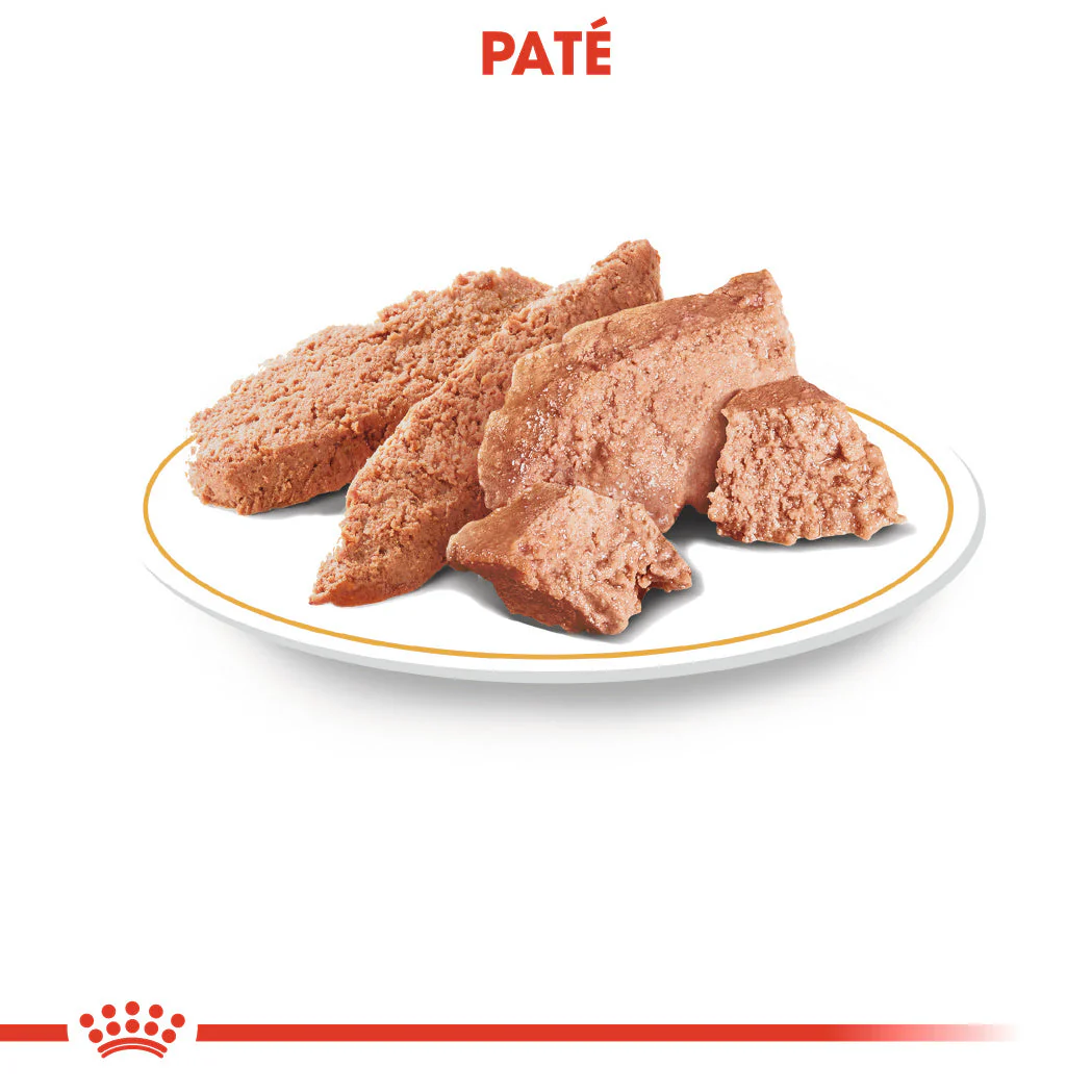 Royal Canin Chihuahua Paté Adulto 85 g Comida Húmeda para Perros - Image 3