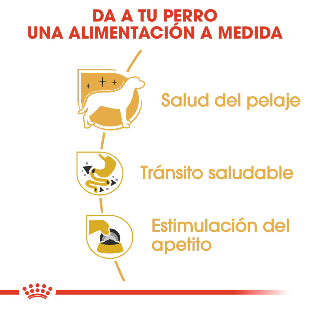 Royal Canin Chihuahua Paté Adulto 85 g Comida Húmeda para Perros - Image 4