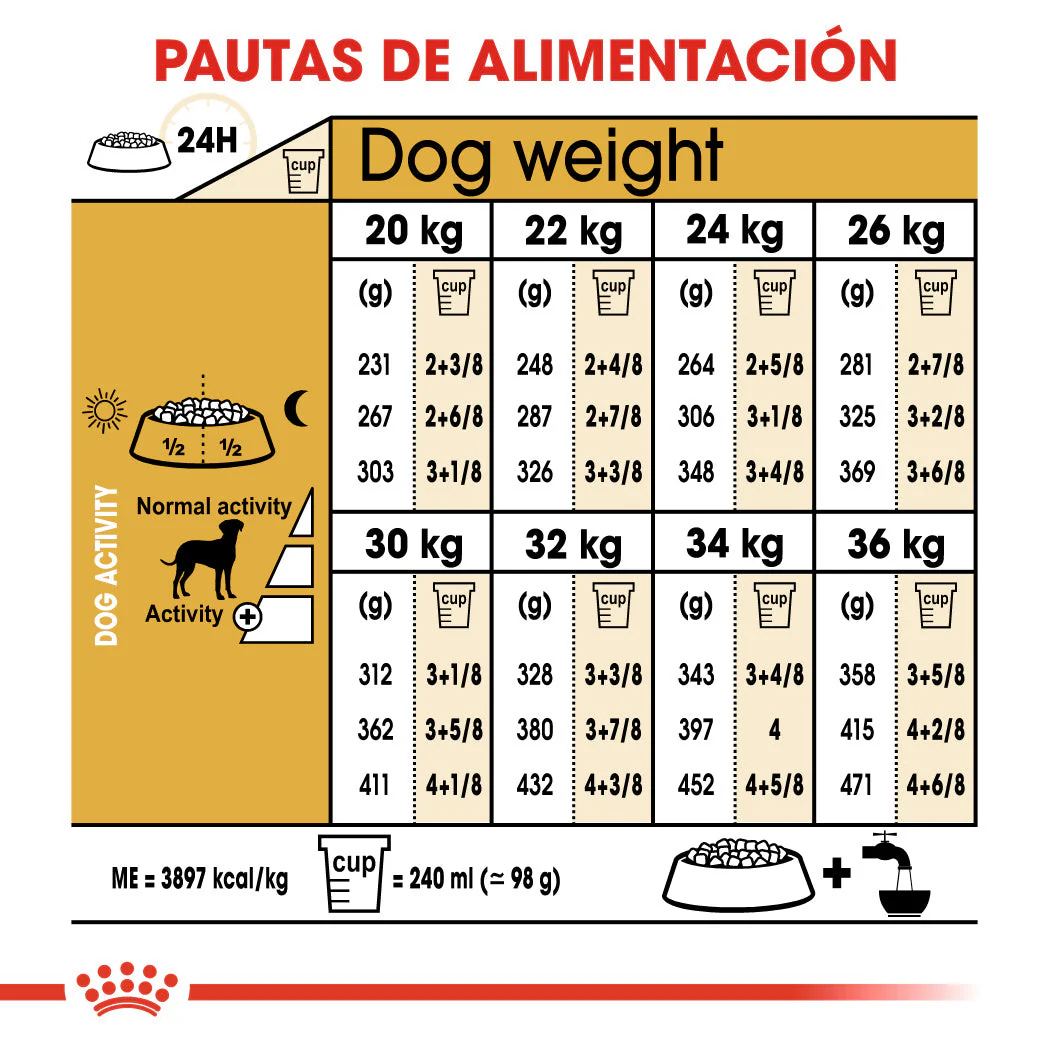 Royal Canin Dálmata Pienso para Perros Adultos de Raza 12 kg - Image 5