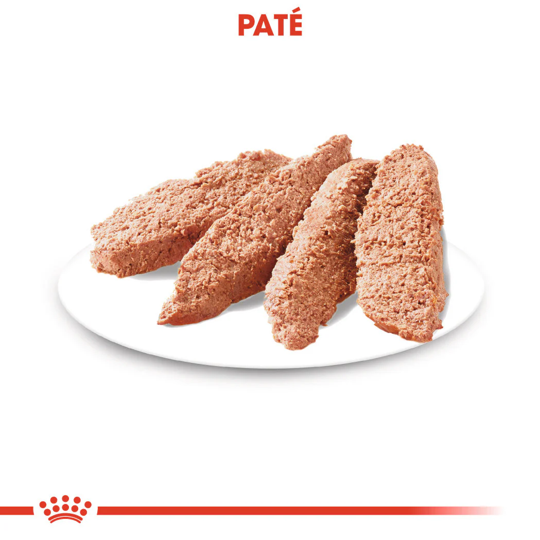 Royal Canin Dermacomfort Care Paté 85 g Comida Húmeda para Perros - Image 4
