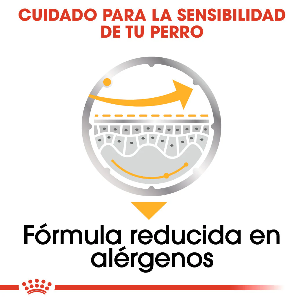 Royal Canin Dermacomfort Care Paté 85 g Comida Húmeda para Perros - Image 5
